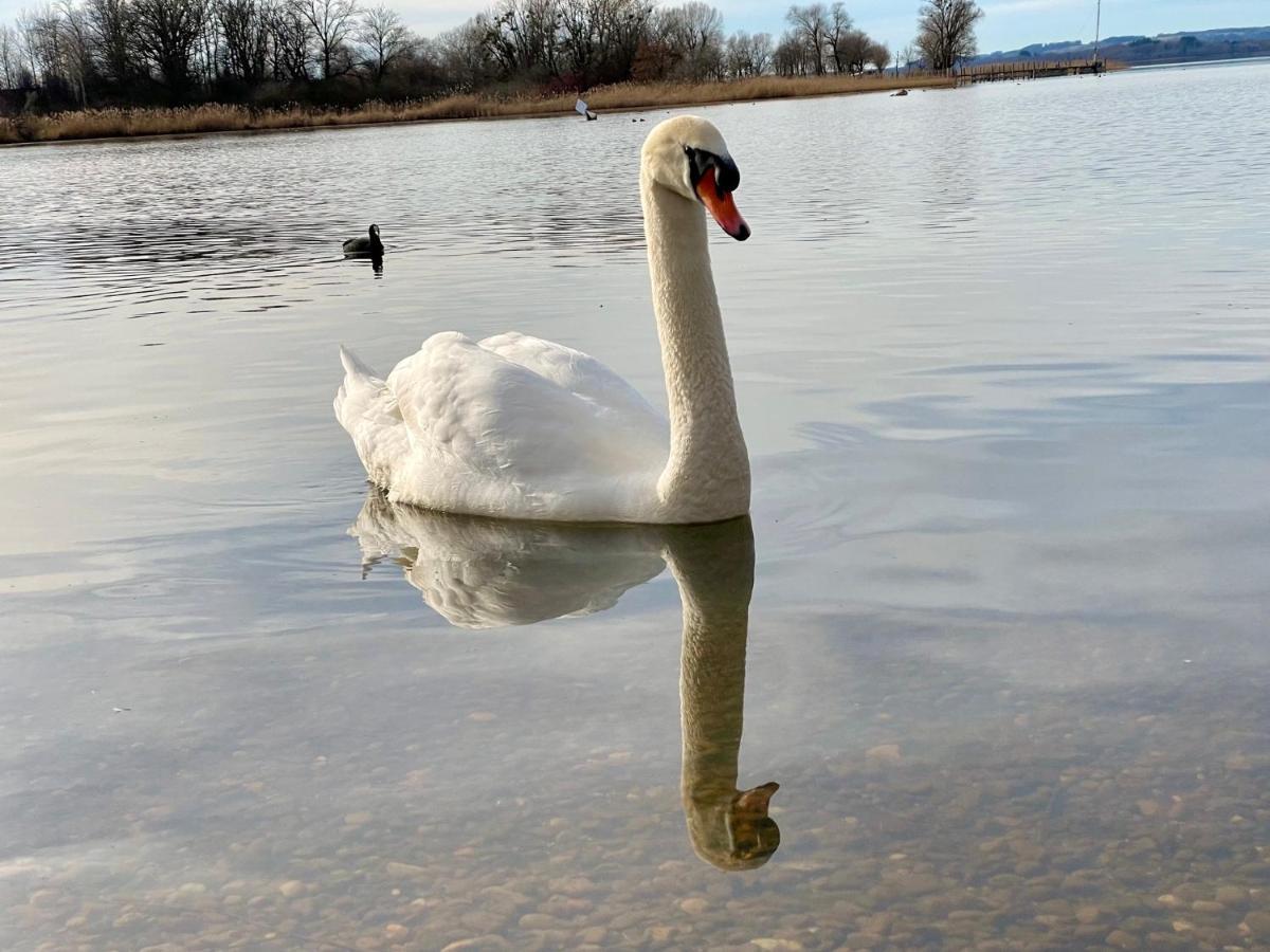 Ferienwohnung Am Chiemsee Übersee Dış mekan fotoğraf